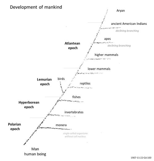 shows a translated version of the original drawing by Rudolf Steiner in the lecture of 1907-11-22-GA100. This drawing and lecture has been misinterpreted outside of a spiritual scientific framework and understanding by groups and forces whose aim is to accuse anthroposophy and Rudolf Steiner's teachings of racism. See 'Further reading' section on the Human races page for an extensive coverage of sources who correct these wrongful attacks. For this reason specific details on the Scheme are added. The two blackboard sketches part of this lecture have been merged, and terminology has been adapted to contemporary language versus the terms used over 100 years ago in context of an audience who had another understanding of these words as part of a larger knowledge framework of human races. Specifically: the word 'epoch' has been added to the evolutionary periods; an explanation has been added in light grey for the 'monera'; the term 'Indianer' has been replaced with 'ancient American Indians' (not to be confused with native americans as we know them today, as here the remnant of the Saturn sub-race of the Atlantean epoch is meant - see Schema FMC00.186 and Schema FMC00.204); and the term 'dekadente Abzweigung' is translated by 'declining branch(ing)', as it branches off in a declining fashion relative to the main evolutionary pathway (see Schema FMC00.546).