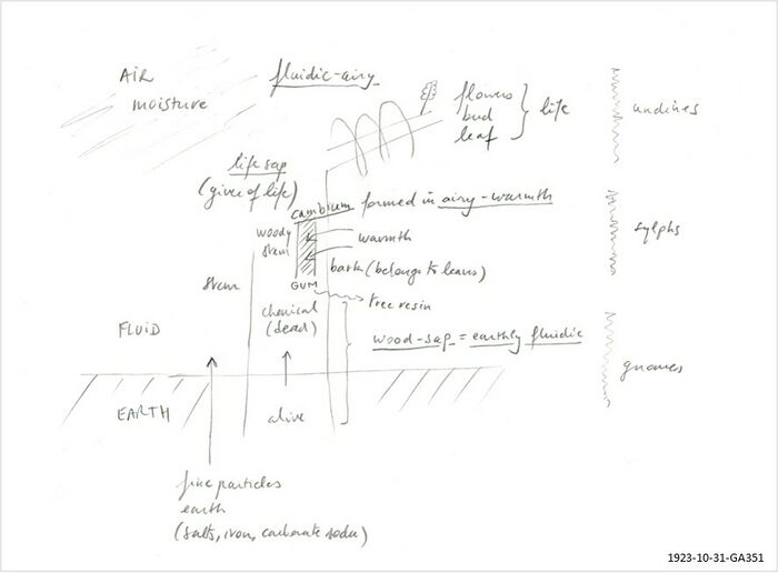 is an illustration of the 1923-10-31-GA351 that explains the workings of the wood-sap (earthy-fluidic), life-sap (fluidic-airy) and cambium (airy-warmth) in the tree. See variant Schema FMC00.616A for the complementary tabular view. Compare also with Schema FMC00.195 and FMC00.009A.