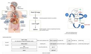 FMC00.160.jpg