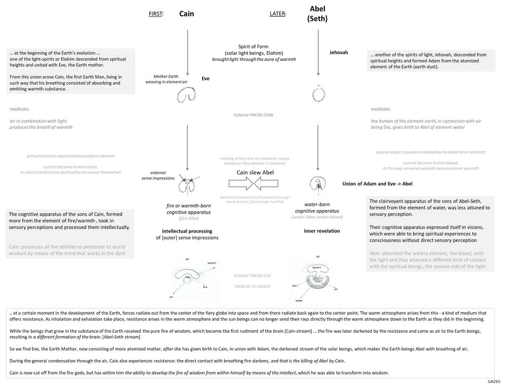 offers a schema for study and contemplation with a cosmological-evolutive view on Cain and Abel streams of mankind and the beginning of humanity on Earth, based on GA265A, with the various text boxes offering comments from various angles of perspective. It shows how two groups of Spirits of Form on Old Moon and the two changing conditions on Earth (and its elemental constitution) gave birth to two streams of humanity with essentially different consciousness (and functioning brain and blood). Both types developed the history of mankind together and evolved throughout the epochs until they were 'united' by the Christ Impulse. The Schema serves to get away from approaching this legend with anthropocentric personification and thinking about Abel, Cain, Adam, Eve as physical human beings like we know them today, as they are symbolic labels denoting earthly conditions and happenings.