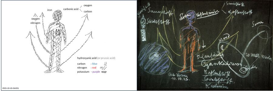 shows the blackboard drawing from the lecture 1923-10-10-GA351 as a complementary illustration to Schema FMC00.542. Note text or terms do not map to drawing and arrows schematically, for this please refer to the lecture text and Schema FMC00.542 which visualizes the lecture text narrative.