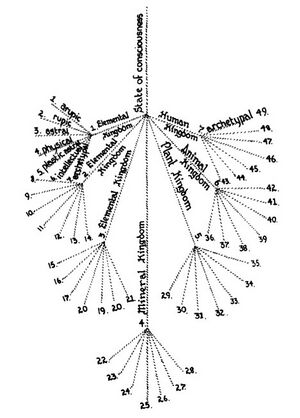 FMC00.314A.jpg