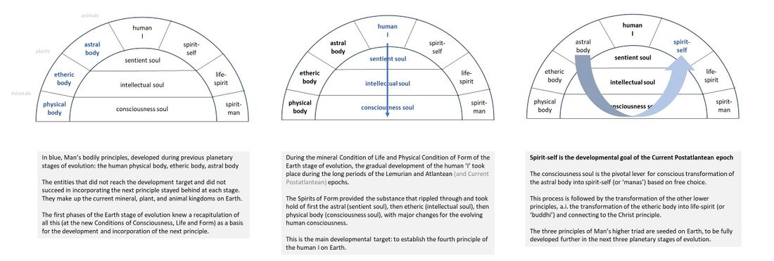 uses the drawing by Rudolf Steiner in the lecture of 1908-06-26-GA104, to show how the Human 'I', as the fourth of Man's bodily principles, is pivotal to Man's transformation and spiritualization. For the left part, see also Schema FMC00.130 (developmental targets per phase of evolution) and Schema FMC00.583 (showing the funnel and lower kingdoms that arise from this). For the middle part, see also Schema FMC00.046 and others on Development of the I For the right part, see also Schema FMC00.486 (overview, see especially the green text box). Furthermore compare also with a.o. Schema FMC00.168 (recapitulation)