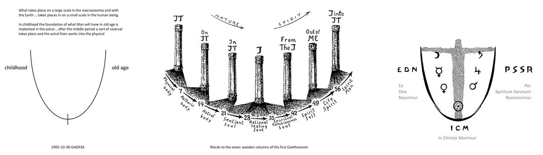 shows the human life as a cycle of the microcosm - relate to Schema FMC00.288. On the left: just one quote where Rudolf Steiner links descriptions of cosmological evolution to the same pattern in a single human life In the middle: illustration linking the seven wooden columns in the first Goetheanum (Schema FMC00.301A) to the Life Chart diagram (Schema FMC00.237). These columns speak not only of the cosmic archetypes of the planetary stages of evolution .. or the Earth's epochs .. but also of the stages of mankind's becoming and growing up coming from 'It' to an 'I' to a productive outpouring entity contributing to the cosmos (re: Meaning of Free Man Creator). The words given to help reading the sculptural forms of the columns "blossom when watered with meditative life forces". The words on the columns, from Old Saturn to Vulcan (in German) "Das Es, An Es, In Es, Ich, Vom Ich, Aus Mir, Ich Ins Es" translate in English somewhat like "The It, On It, In It, I, From the I, Out of me, I into It". A short comment by O'Neil: * With 'It' one can imagine the Father, a mineral (Old Saturn).. in our cradle years we are lovingly spoken of as 'it' and mirror our environment's every gesture. * The plant is caressed by the light 'on It' and reflects its wisdom of number and form (Old Sun). In school years we take 'on' and reflect wisdom, language of the environment and those we loved. * Innerness 'into It' begins with animals (Old Moon) .. in human life, the unpredictable innerness of 'In It'-ness in adolescence. * 'I-ness' with the human being (Earth) .. in human life: we are off on our very own during these middle years * then come, after this preparation and all this receiving, being given and guided .. the transformation of these gifts into givings. After mid-life, our inspirations shine forth 'from the I' .. and after 50 this can flow forth to others 'out of me'. In later years around 60 the will exteriorizes and can galvanize the surrounding world into action: the I can live 'into the It'. On the right: from the spirit world Man is born into earthly substance of the Father principle (EDN) .. then goes through Individuation (ICM) .. and awakening himself into the spirit world (PSSR) Illustrations middle and right, along with commentary on the columns, from O'Neil's 'The Human life'.
