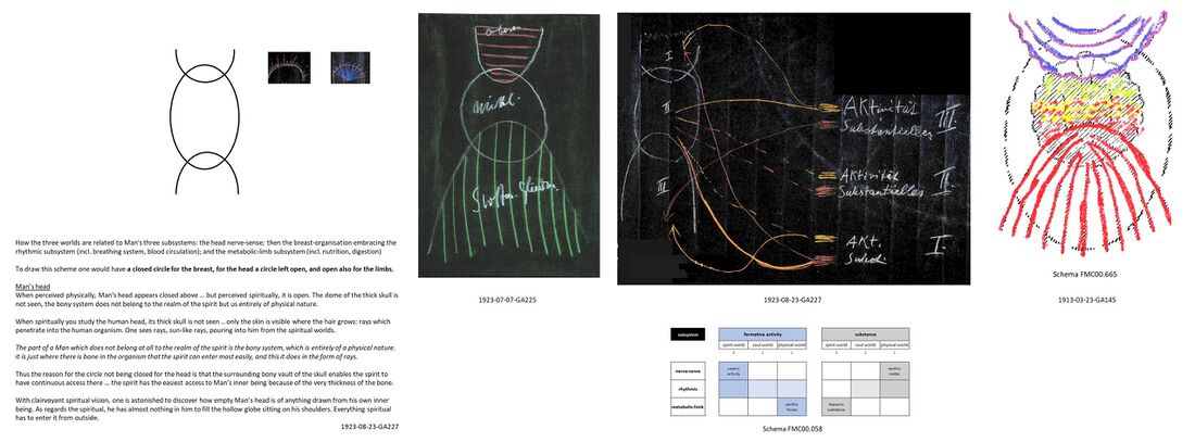 illustrates Man as a threefold being in relation to the three worlds, with a picture and description used recurrently by Rudolf Steiner. The 'head' nerve-sense subsystem and 'limb' metabolic-limb subsystem are polar opposites, the first most and the latter least spiritualized, while the middle rhythmic subsystem modulates and balances the two. The influences of the different etheric formative forces are depicted with the open sphere at both ends, On the left, focus is on the human head with the 'empty' part (see Schema FMC00.045) and connection with the spiritual. Connect this with the schemas and descriptions on etherization of blood, the human brain, and matter is destroyed in the brain to develop an imaginative insight of this point in the human brain between the pineal and pituitary glands. For another angle, see also Schema FMC00.463 and Man's new organ.