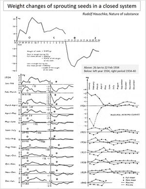 FMC00.011.jpg