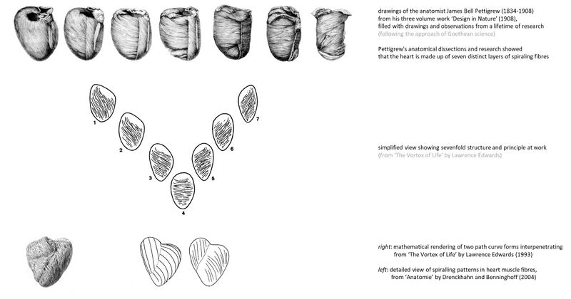 File:FMC00.675.jpg