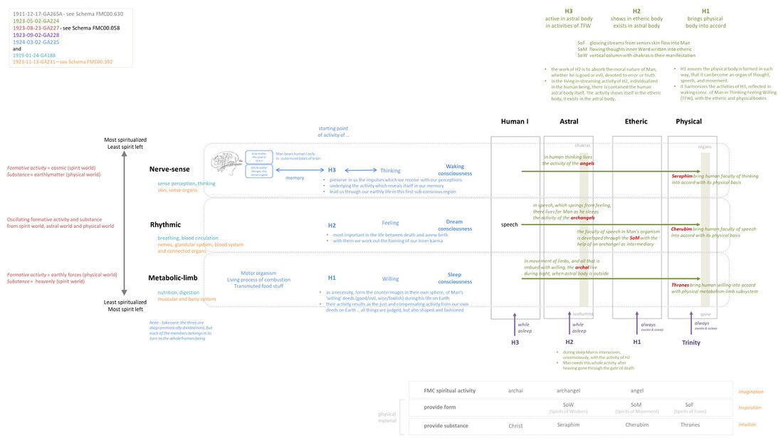 provides an overview of Man and the spiritual hierarchies, integrating descriptions from five lectures (see upper right). Perspectives from different lectures are in different colours so they can easily be traced back and read in context of the full lecture as part of study. The main view is laid out as a 4 by 3 matrix of four of Man's bodily principles and the three subsystems of Man as a threefold being, well realizing that there are no strict boundaries and the main components interpenetrate eachother. These two dimensions have to be supplemented mentally with a non-depicted third dimension, which is the type of working, influence or impact of any spiritual hierarchy along the planes or worlds of consciousness. For this, consider: * first, the Force substance representation for an appreciation of the distinction and gradient between spiritual force or influence and matter or substance (see outer left and below right on this Schema) * the interwoven nature of the spiritual hierarchies, see eg Schema FMC00.661A * and how the effects concatenate in what is described as the Golden Chain (of Homer), with zodiacal influences modulated by the planetary spheres, and the working together of various spiritual beings (such as described as the Elementary Kingdoms, elementals of nature).
